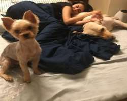 Her love for animals can be gauged from the fact t Her love for animals can be gauged from the fact that she has two dogs in her house. Whenever she is free from her busy schedule, she likes to spend t